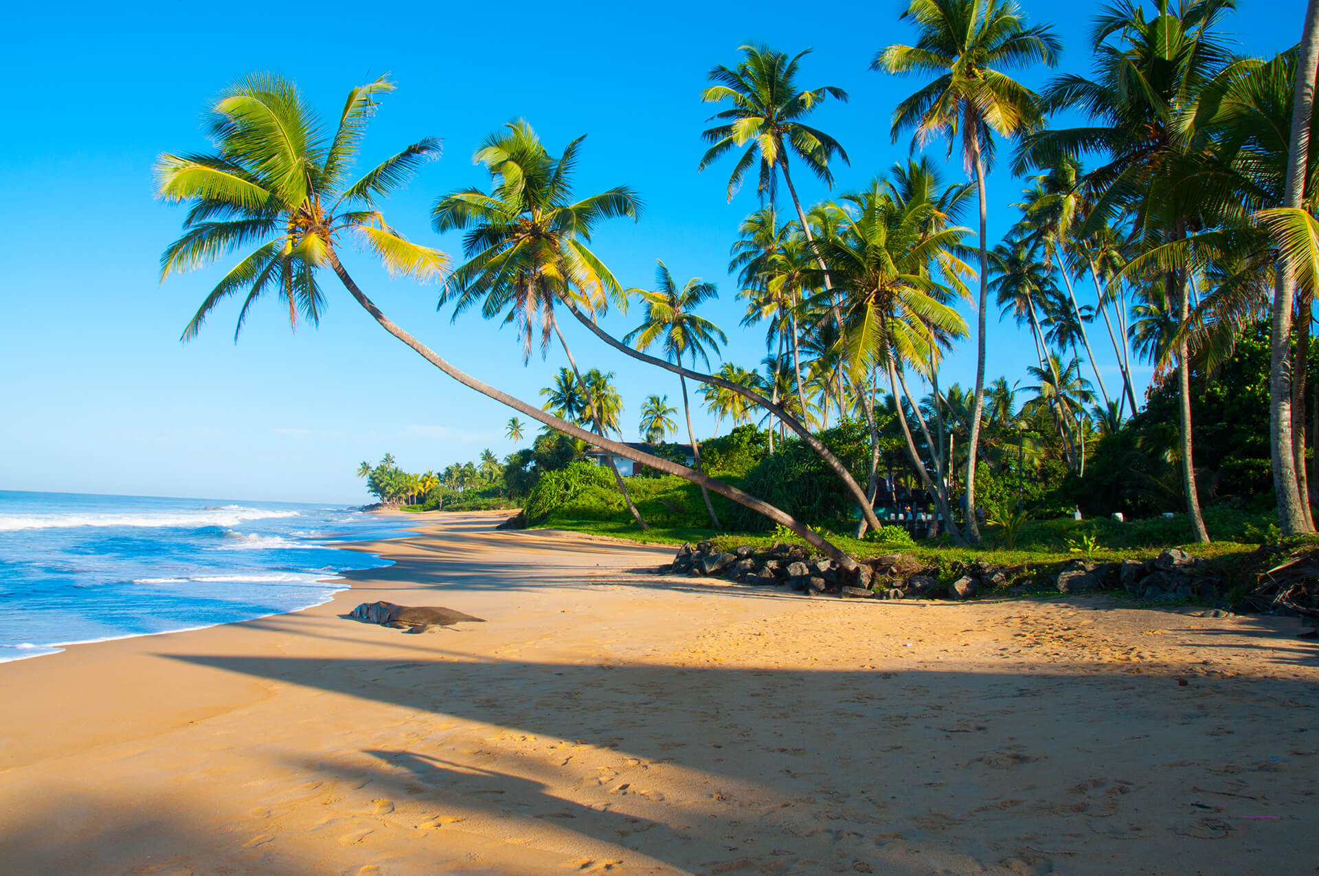 untouched-tropical-beach-in-sri-lanka