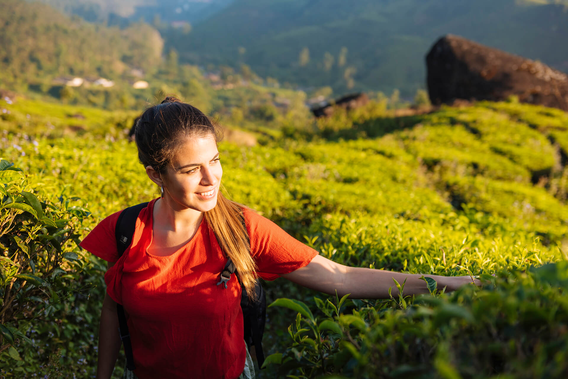 young-woman-touching-tea-plants-in-tea-plantations-2024-06-14-21-24-48-utc